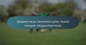 Radamel Falcao: Nemzetközi gólok, Vezetői szerepek, Válogatottbeli hatás